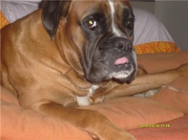 Thor